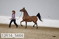 12r14_5464 proof