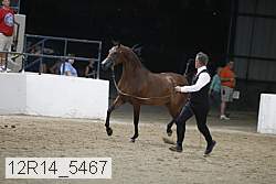 12r14_5467 proof