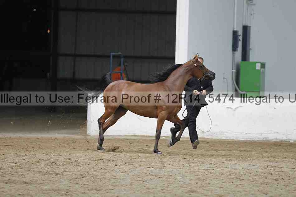 Proof 12r14_5474