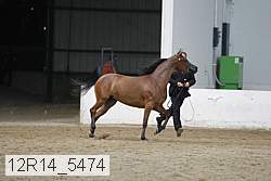 12r14_5474 proof