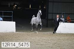 12r14_5475 proof