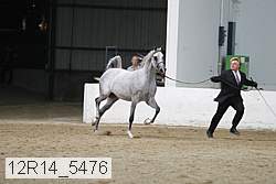 12r14_5476 proof