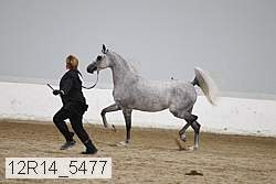 12r14_5477 proof
