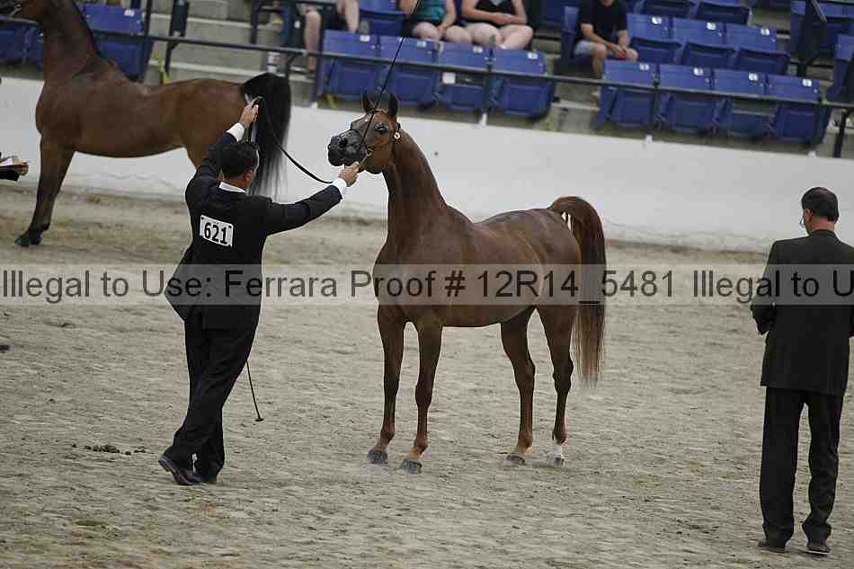 Proof 12r14_5481