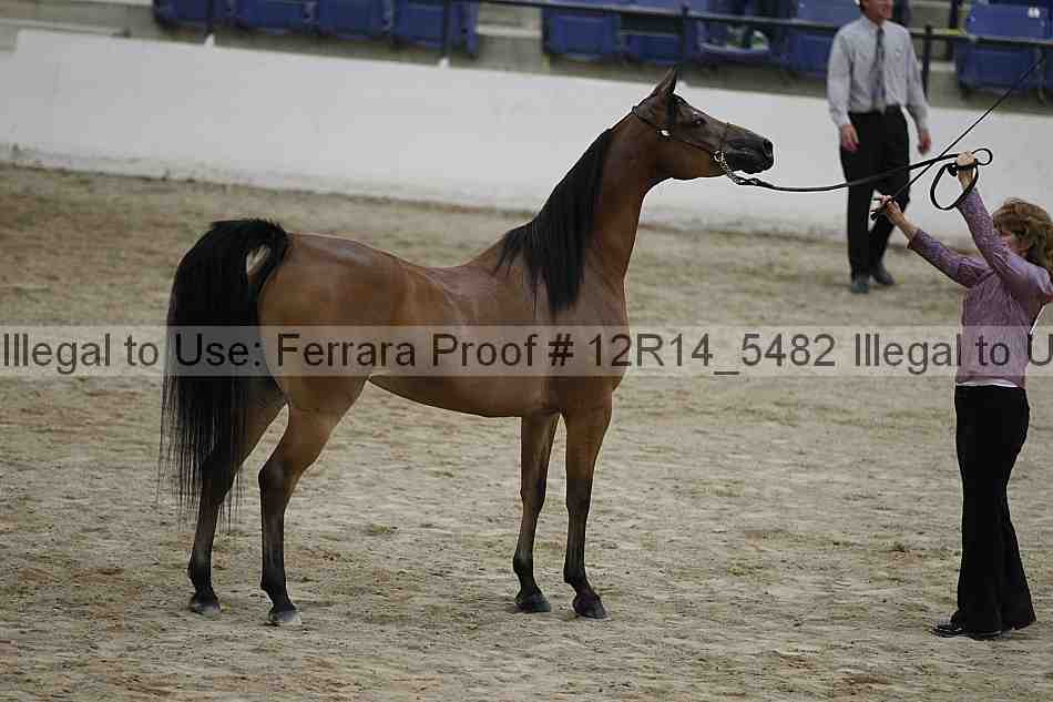 Proof 12r14_5482