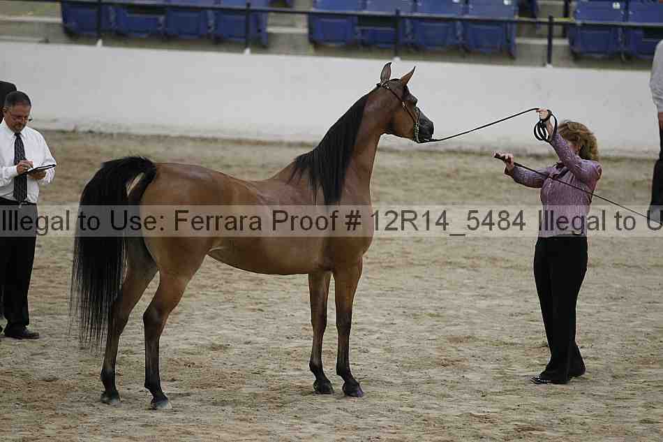Proof 12r14_5484