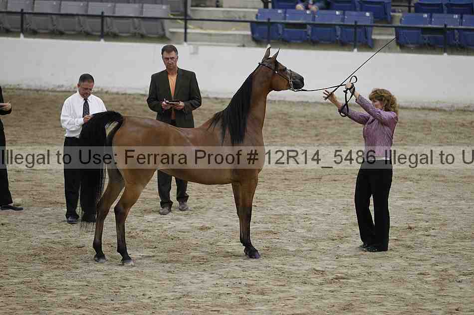 Proof 12r14_5486