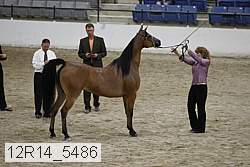 12r14_5486 proof