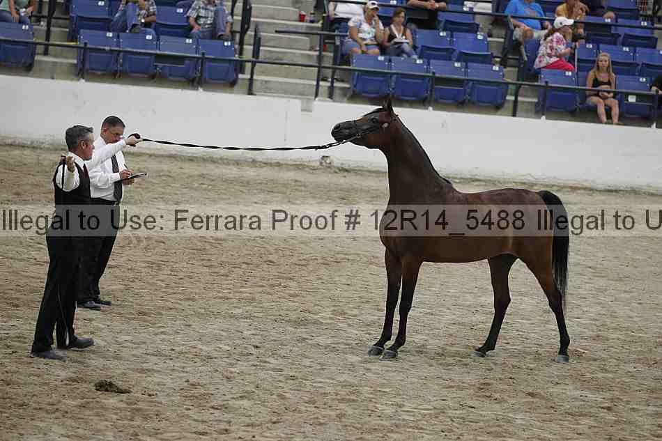 Proof 12r14_5488