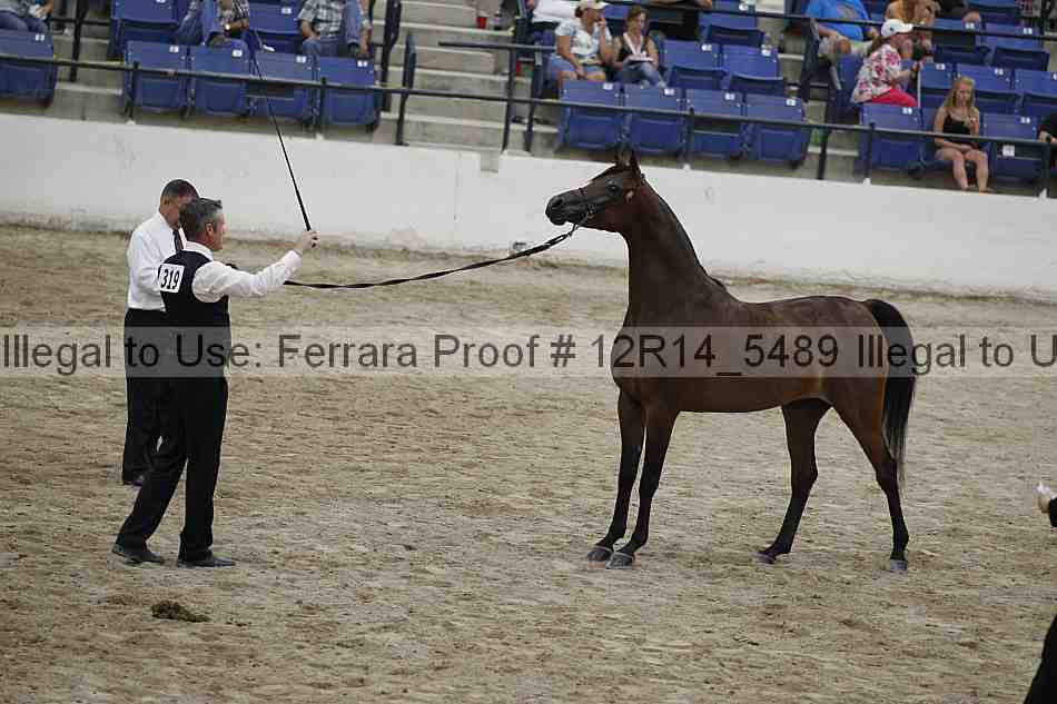Proof 12r14_5489
