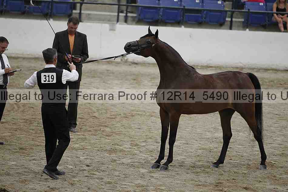 Proof 12r14_5490