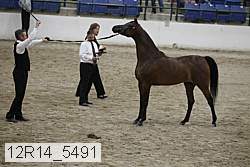 12r14_5491 proof