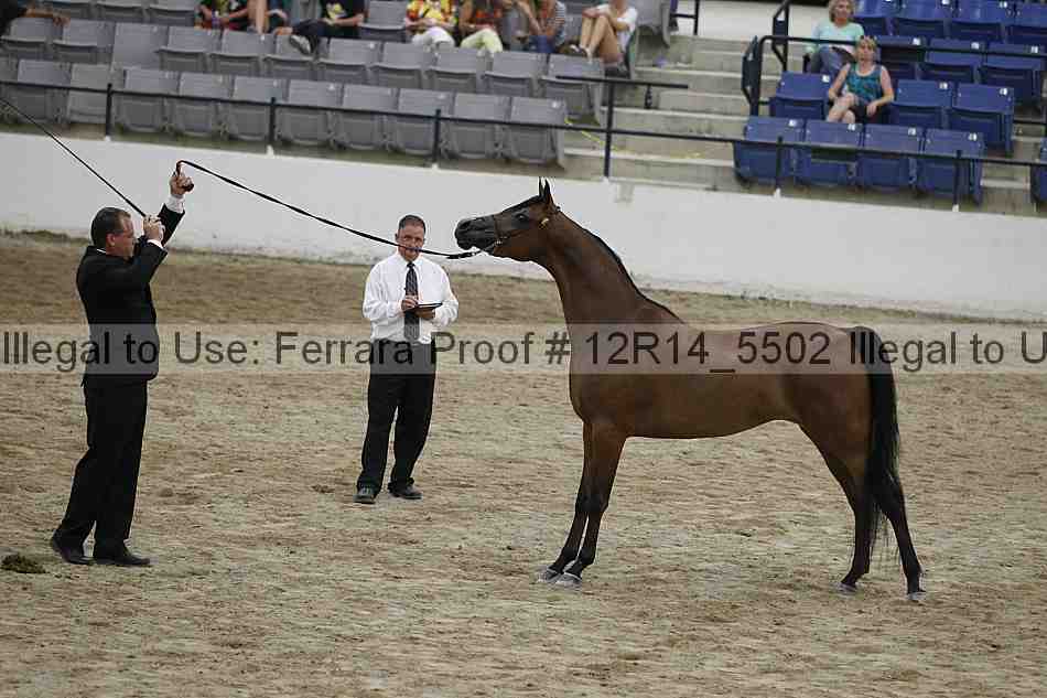 Proof 12r14_5502
