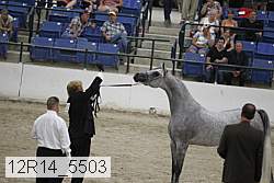 12r14_5503 proof
