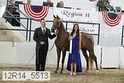 12r14_5513 proof