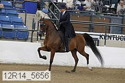 12r14_5656 proof