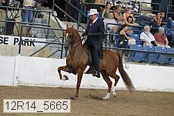 12r14_5665 proof