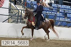 12r14_5683 proof