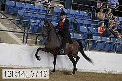 12r14_5719 proof