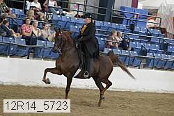 12r14_5723 proof