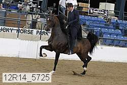 12r14_5725 proof