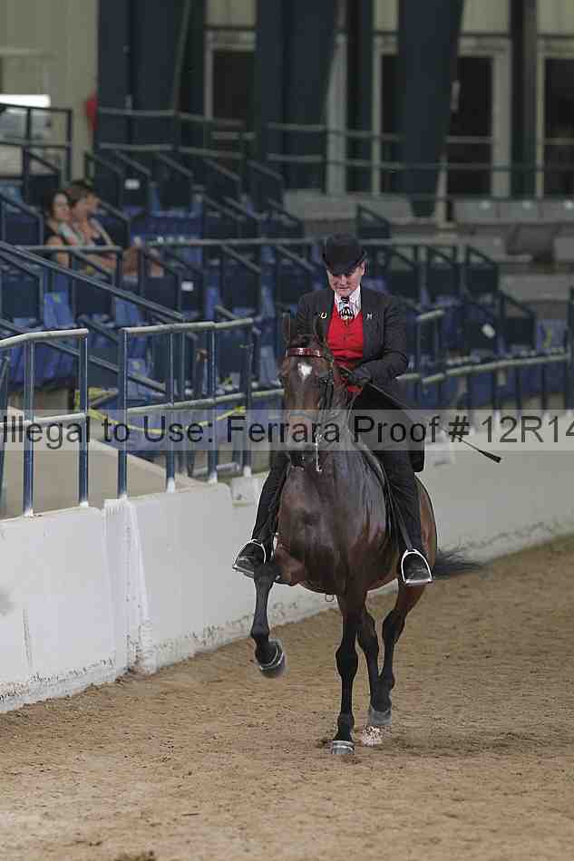 Proof 12r14_5729