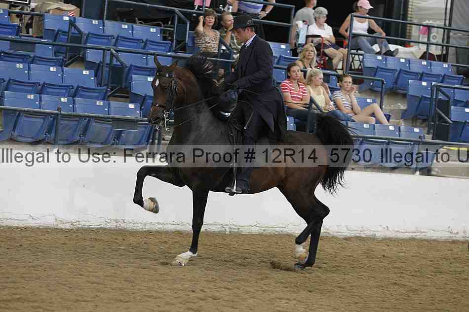 Proof 12r14_5730