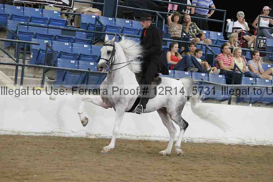 Proof 12r14_5731