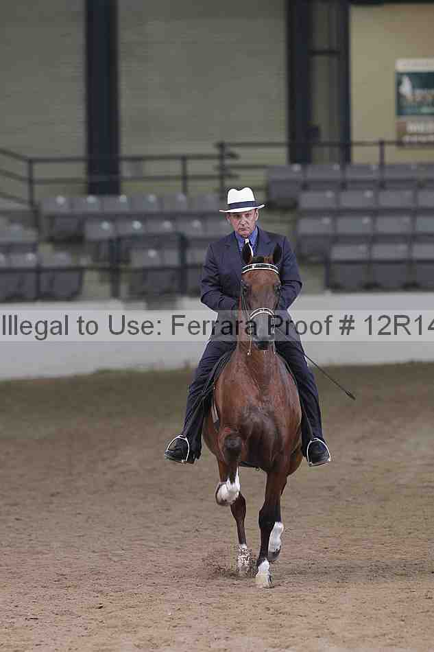Proof 12r14_5732