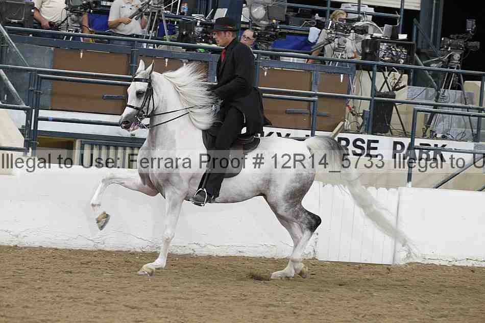 Proof 12r14_5733