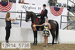 12r14_5736 proof