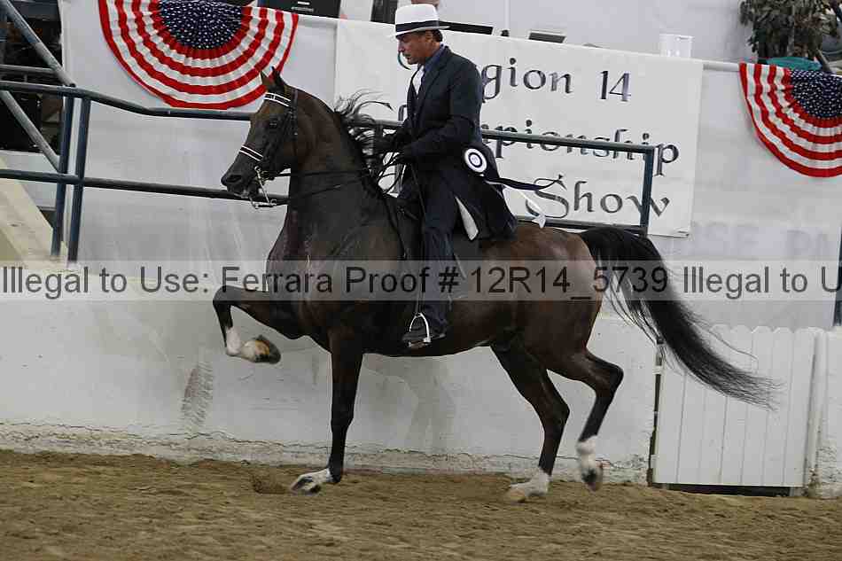 Proof 12r14_5739