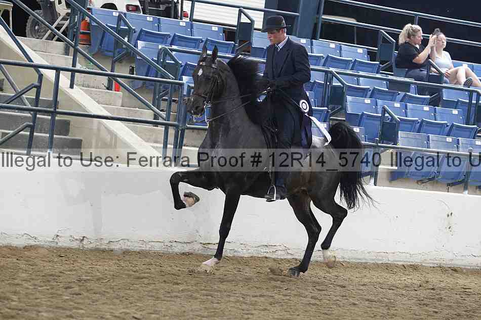 Proof 12r14_5740