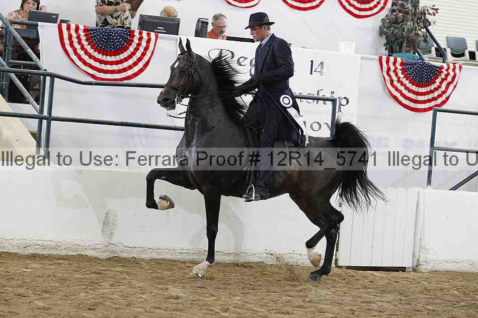 Proof 12r14_5741
