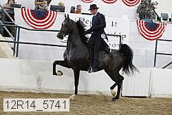 12r14_5741 proof