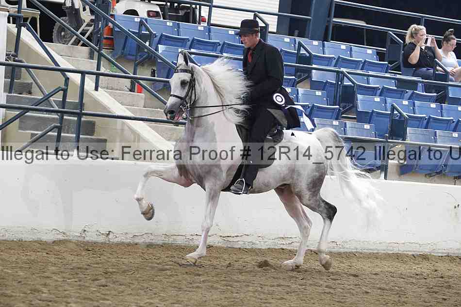 Proof 12r14_5742