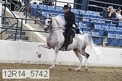 12r14_5742 proof