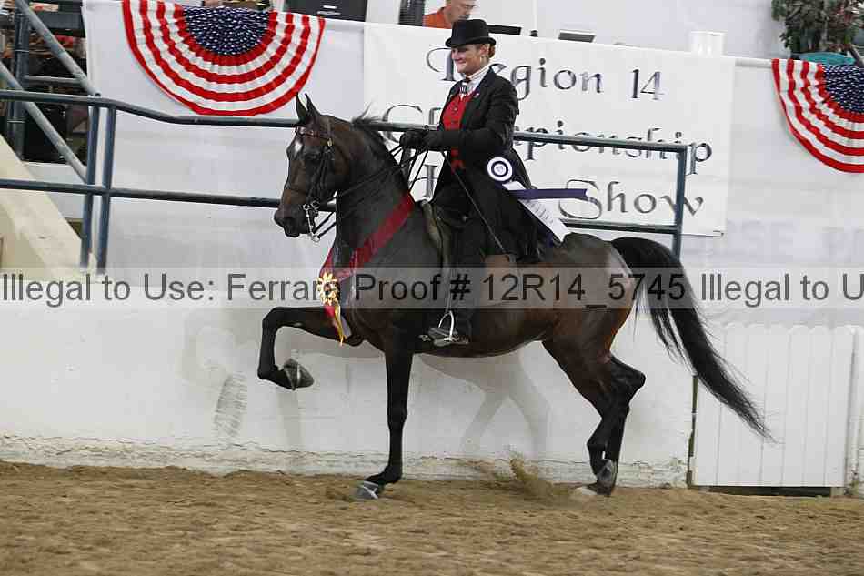 Proof 12r14_5745