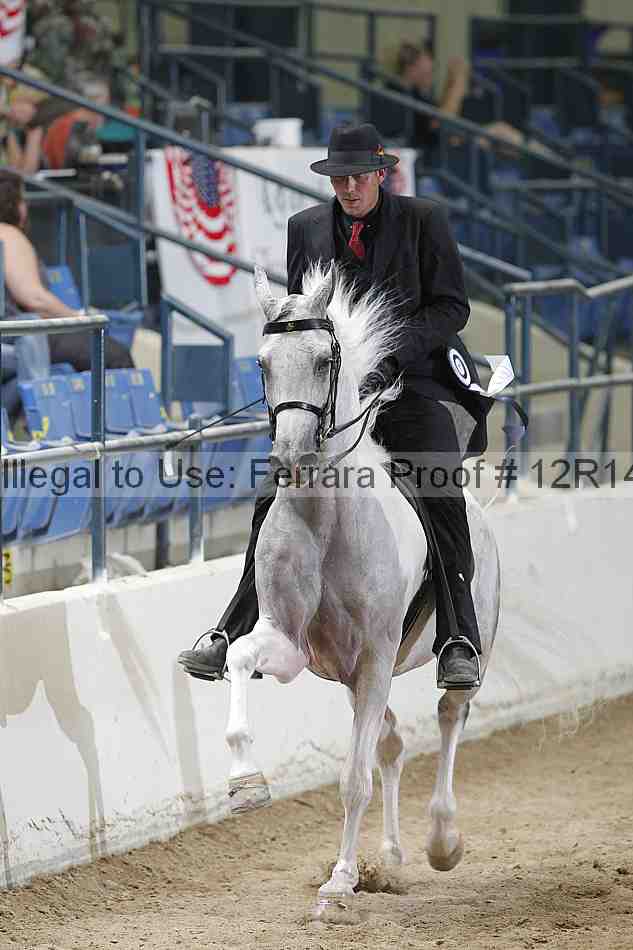 Proof 12r14_5749