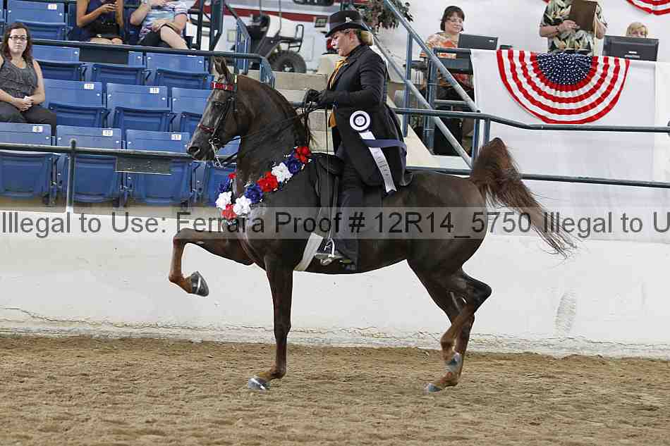 Proof 12r14_5750