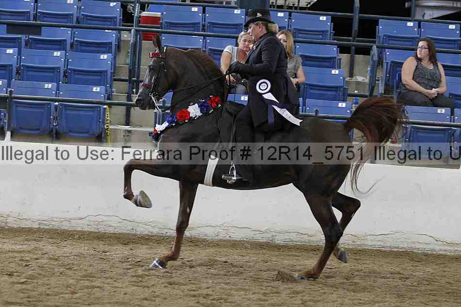 Proof 12r14_5751