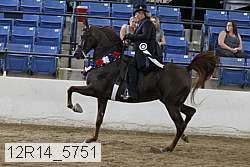 12r14_5751 proof