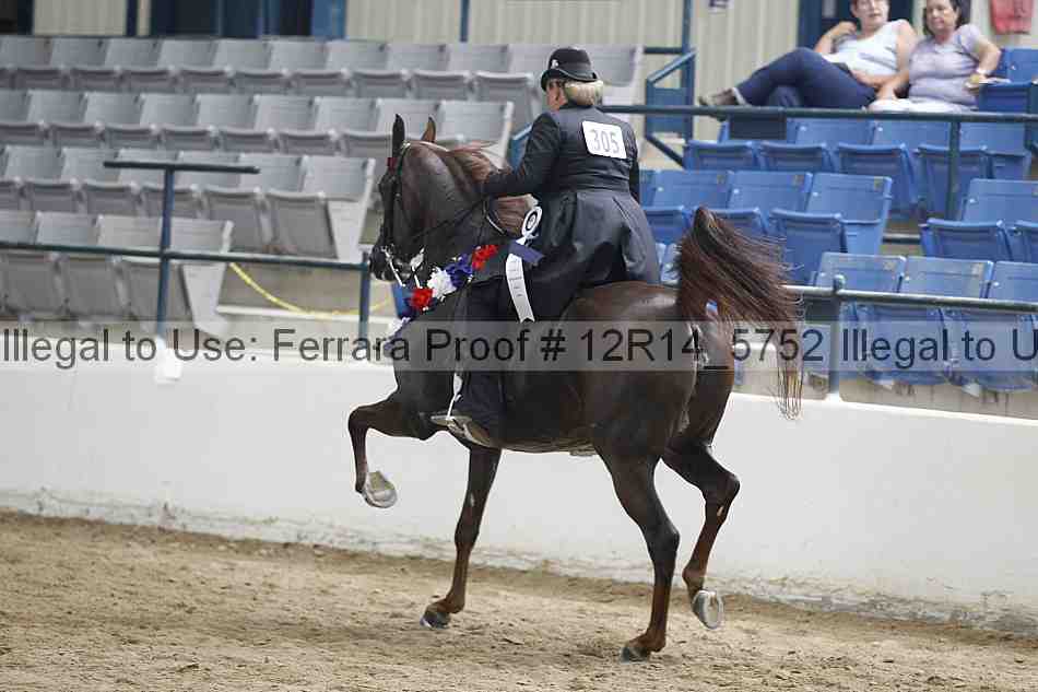 Proof 12r14_5752