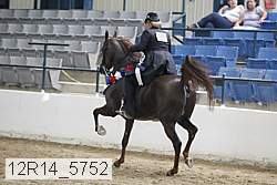 12r14_5752 proof