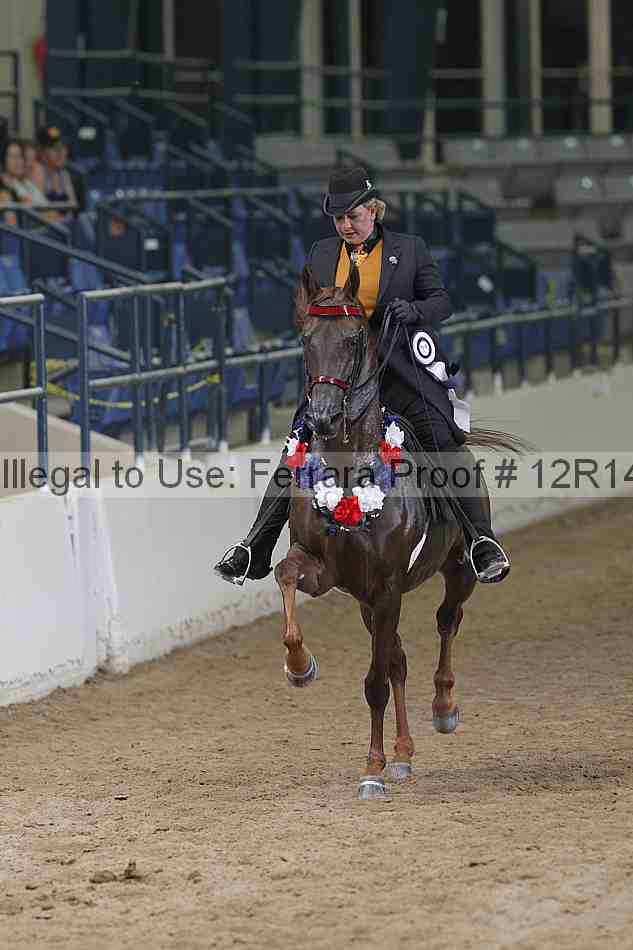 Proof 12r14_5755