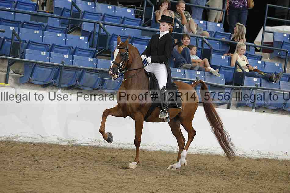 Proof 12r14_5756