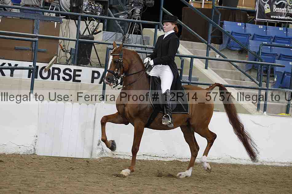 Proof 12r14_5757