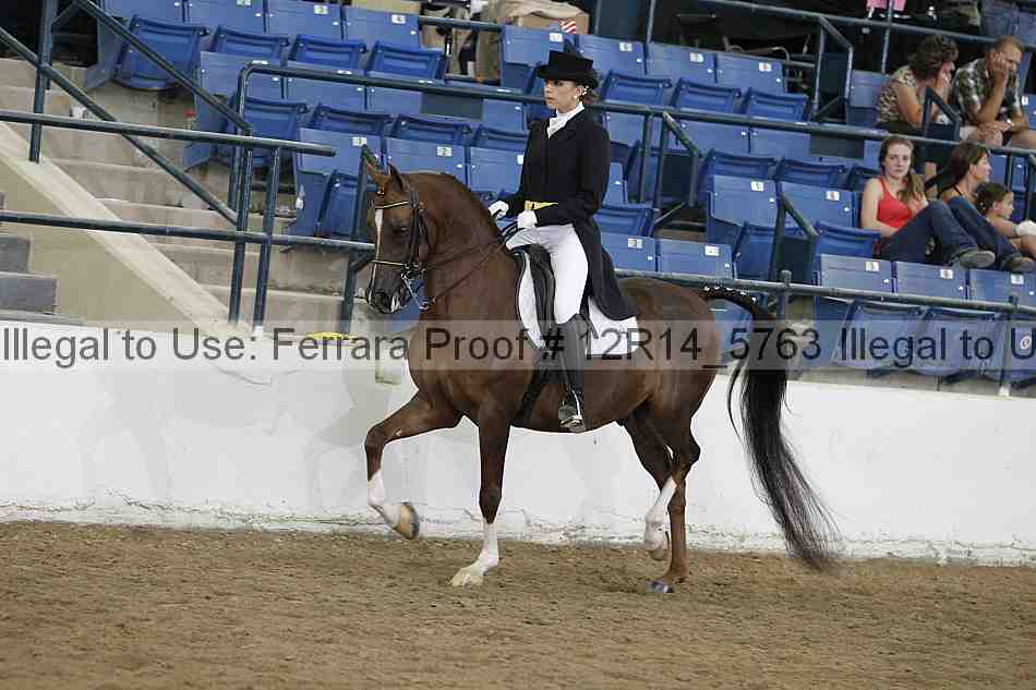Proof 12r14_5763