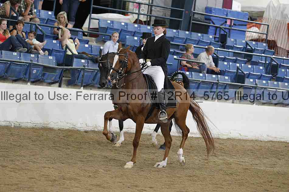 Proof 12r14_5765
