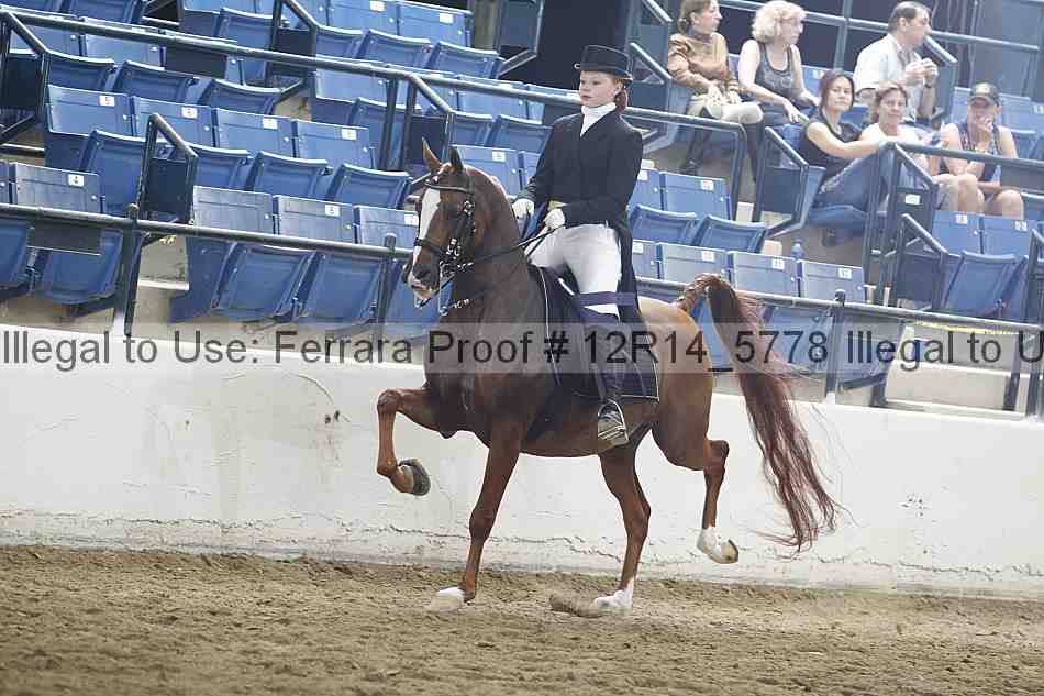 Proof 12r14_5778